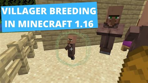 Villager Breeding Guide / Tutorial for Minecraft in 1.16 .
